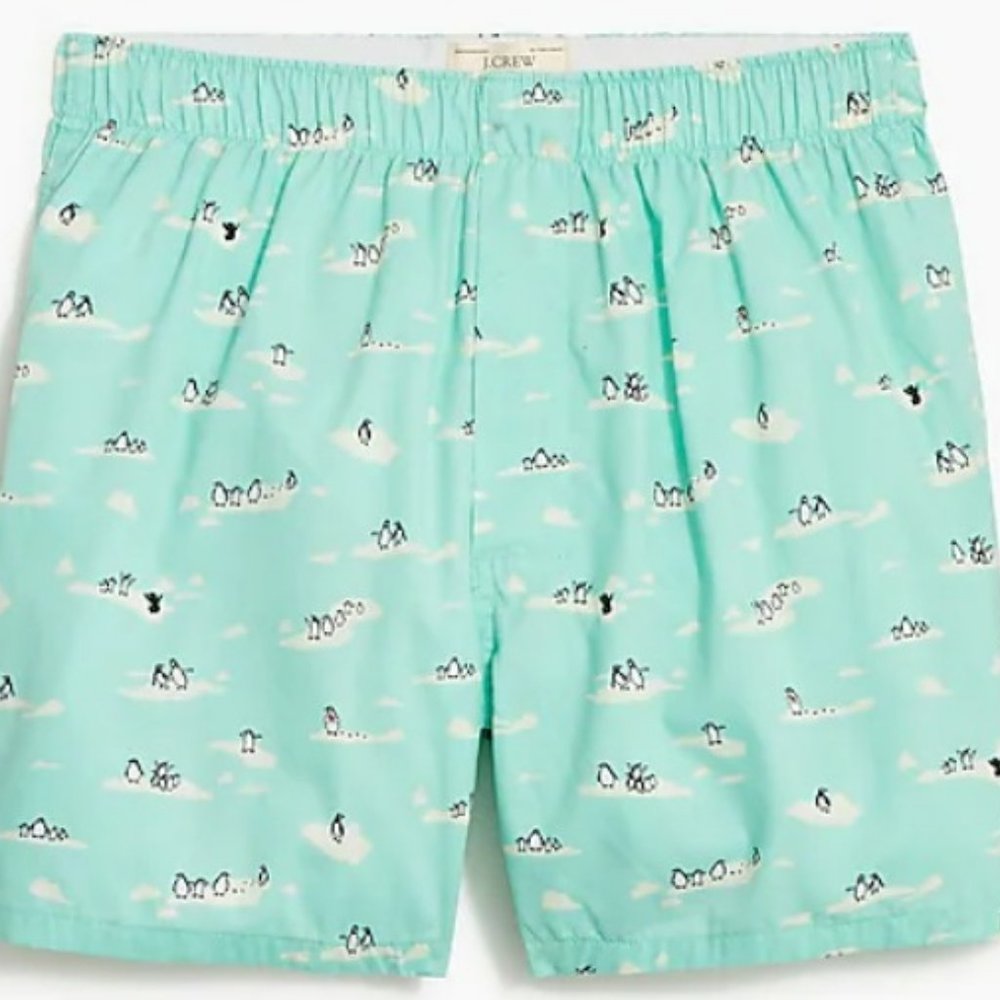 J Crew Woven Boxers - Spearmint Ivory S (AS576)